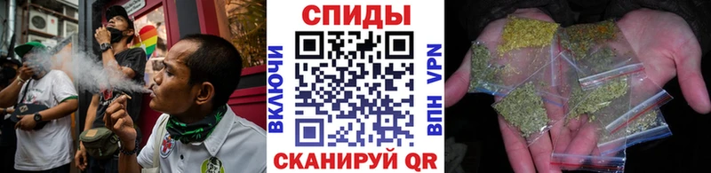 где купить Димитровград Бутират буратино